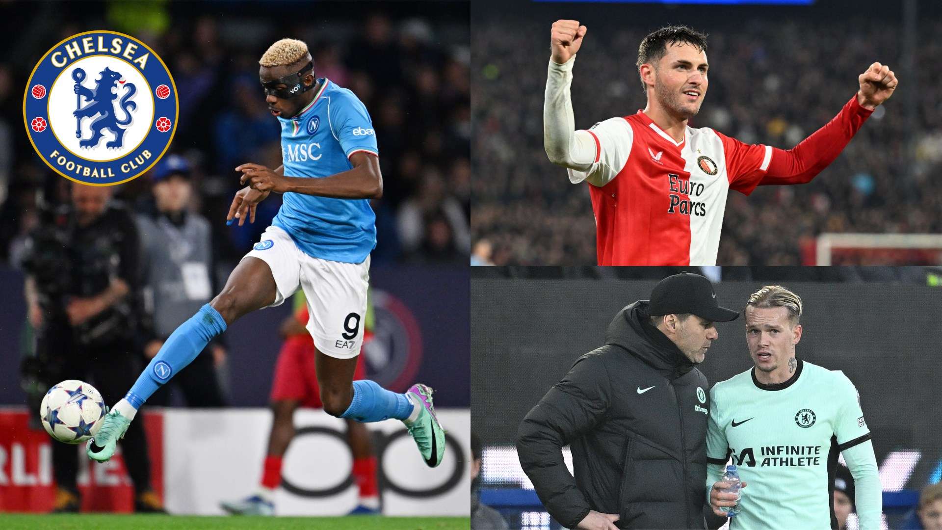 员在国际赛 员在国际赛